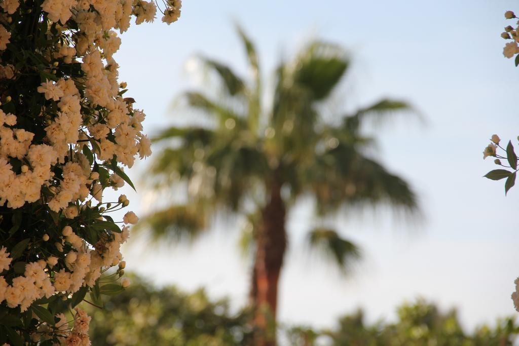 Fincahotel Los Naranjos Son Sardina Εξωτερικό φωτογραφία